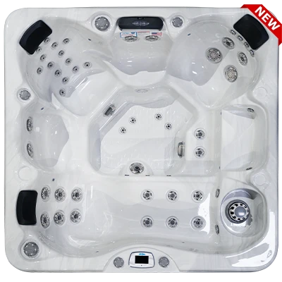 Costa-X EC-749LX hot tubs for sale in Cicero
