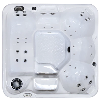 Hawaiian PZ-636L hot tubs for sale in Cicero
